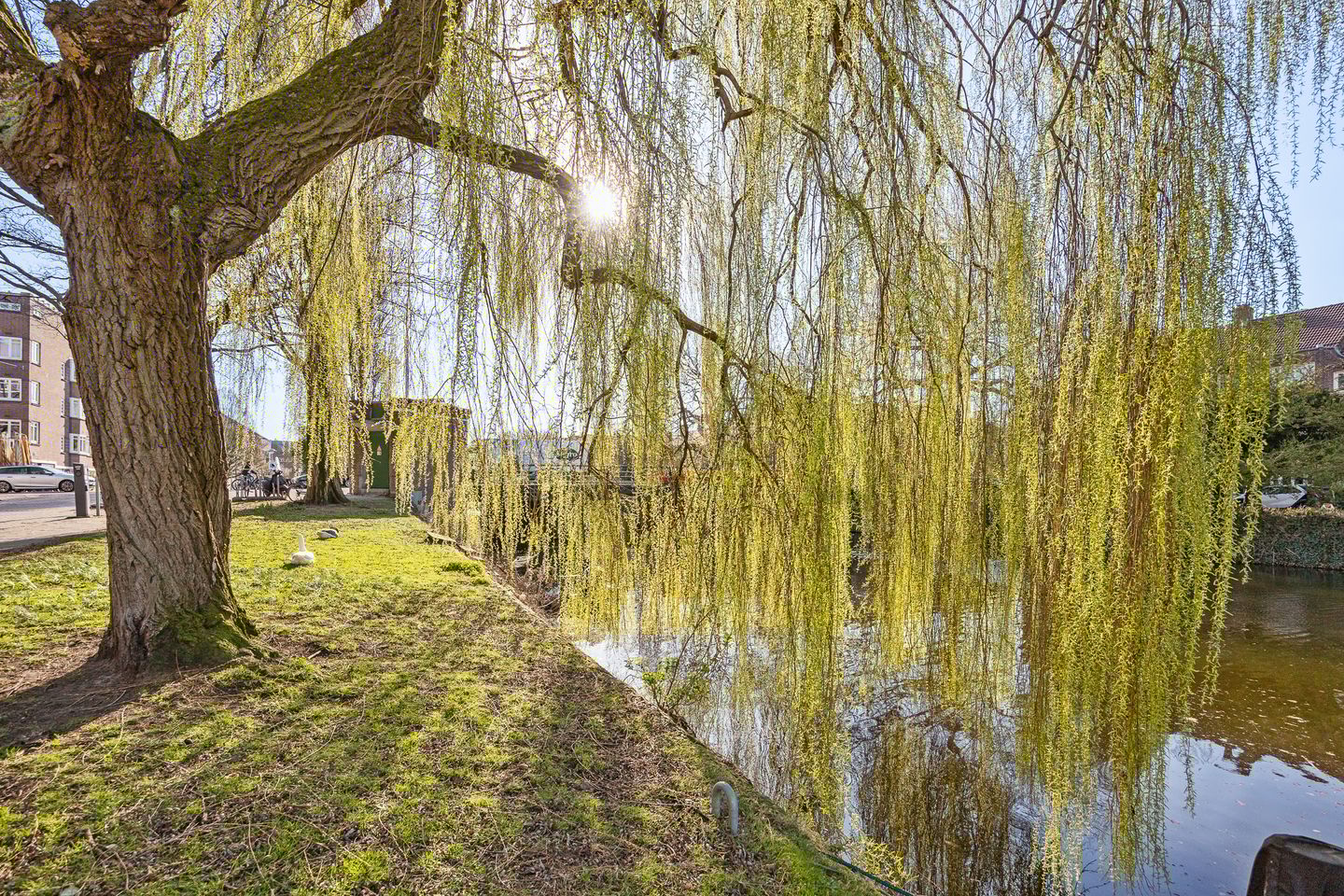 Foto 25 van Olympiakade 27-1