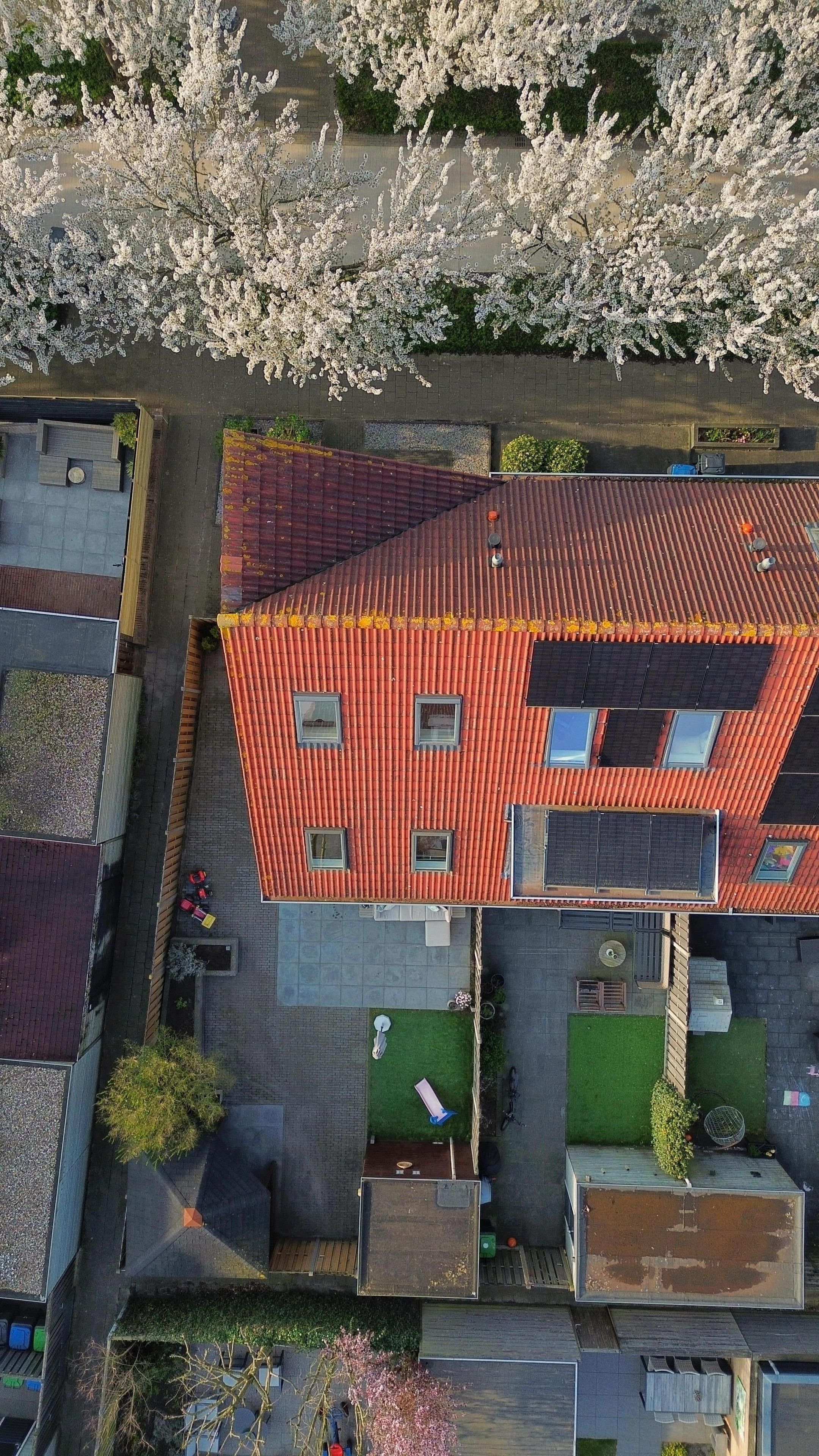 Spacious Corner Home with Four Bedrooms and South-Facing Garden — 32