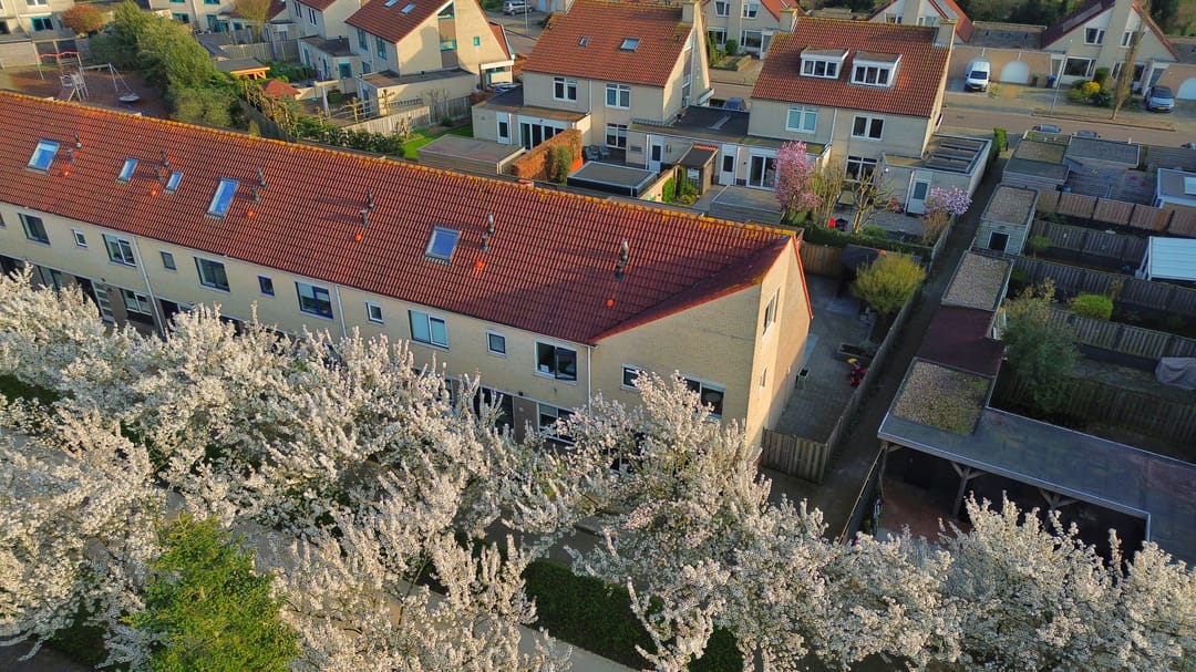 Spacious Corner Home with Four Bedrooms and South-Facing Garden — 33