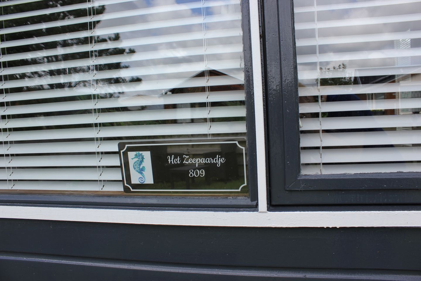 Foto 29 van Park De Horn 809