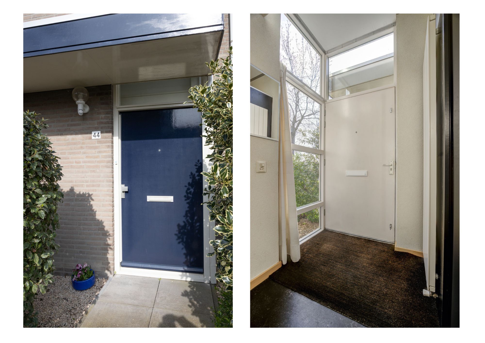 Foto 6 van Olympiade 44