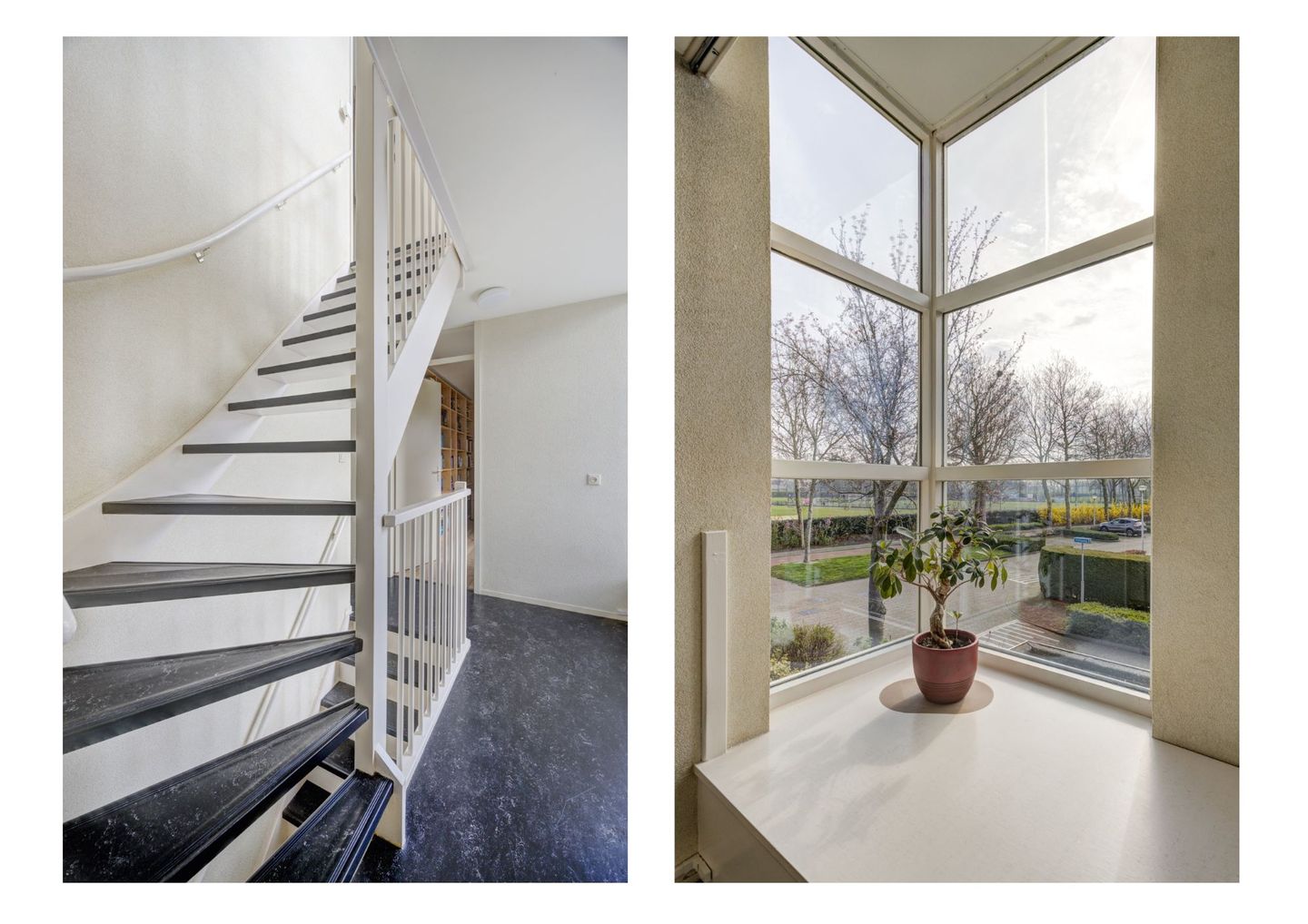 Foto 19 van Olympiade 44