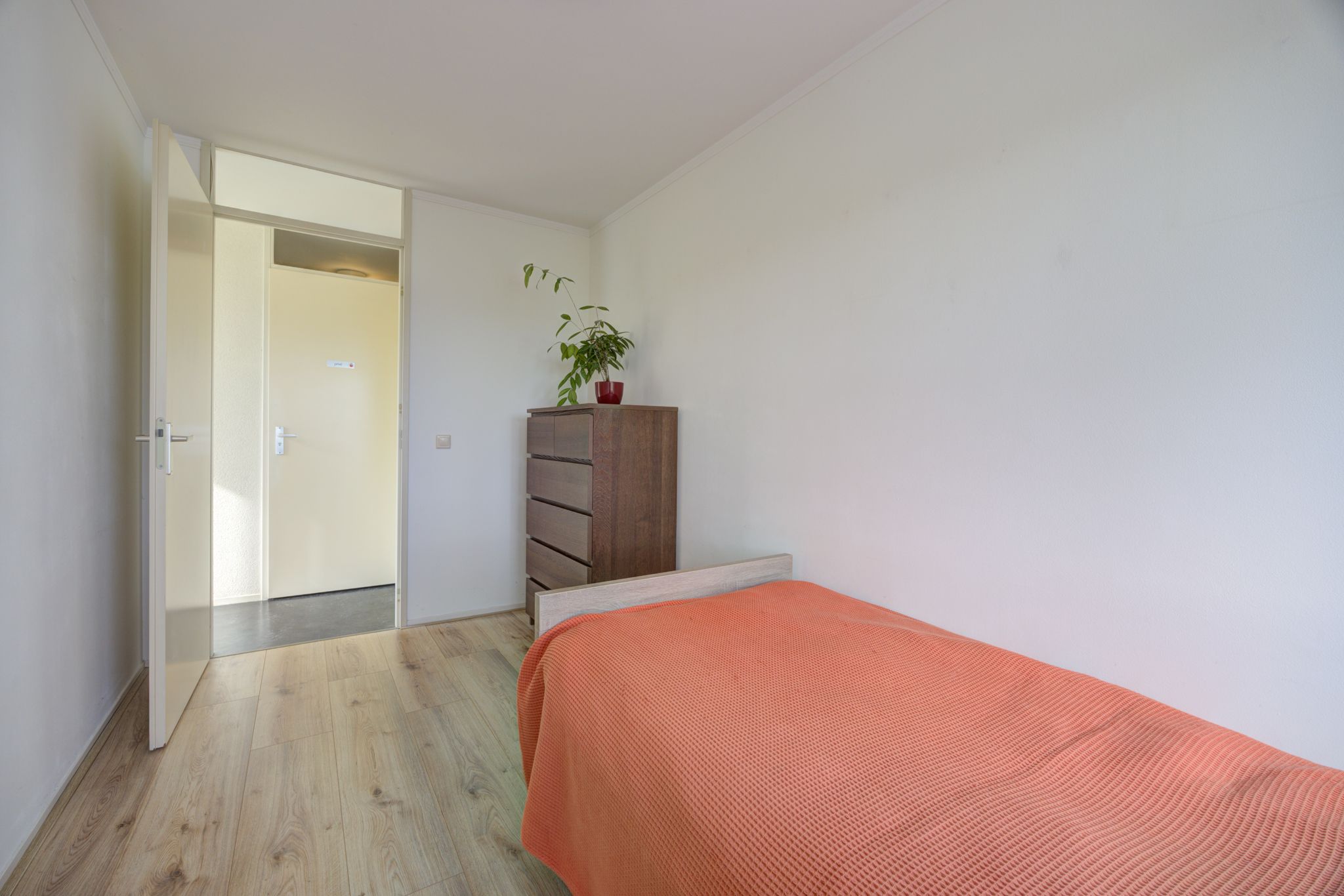 Foto 21 van Olympiade 44