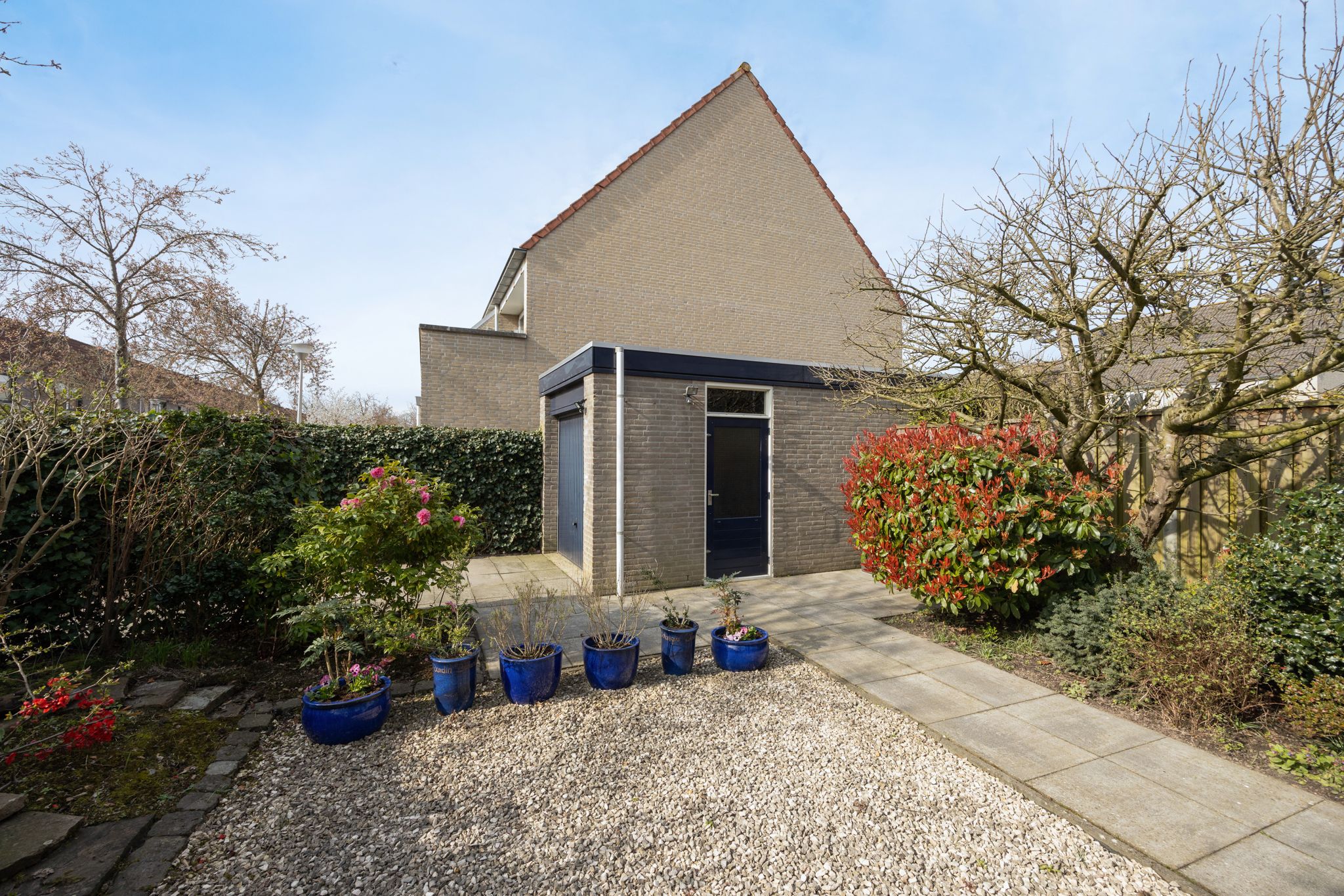 Foto 39 van Olympiade 44