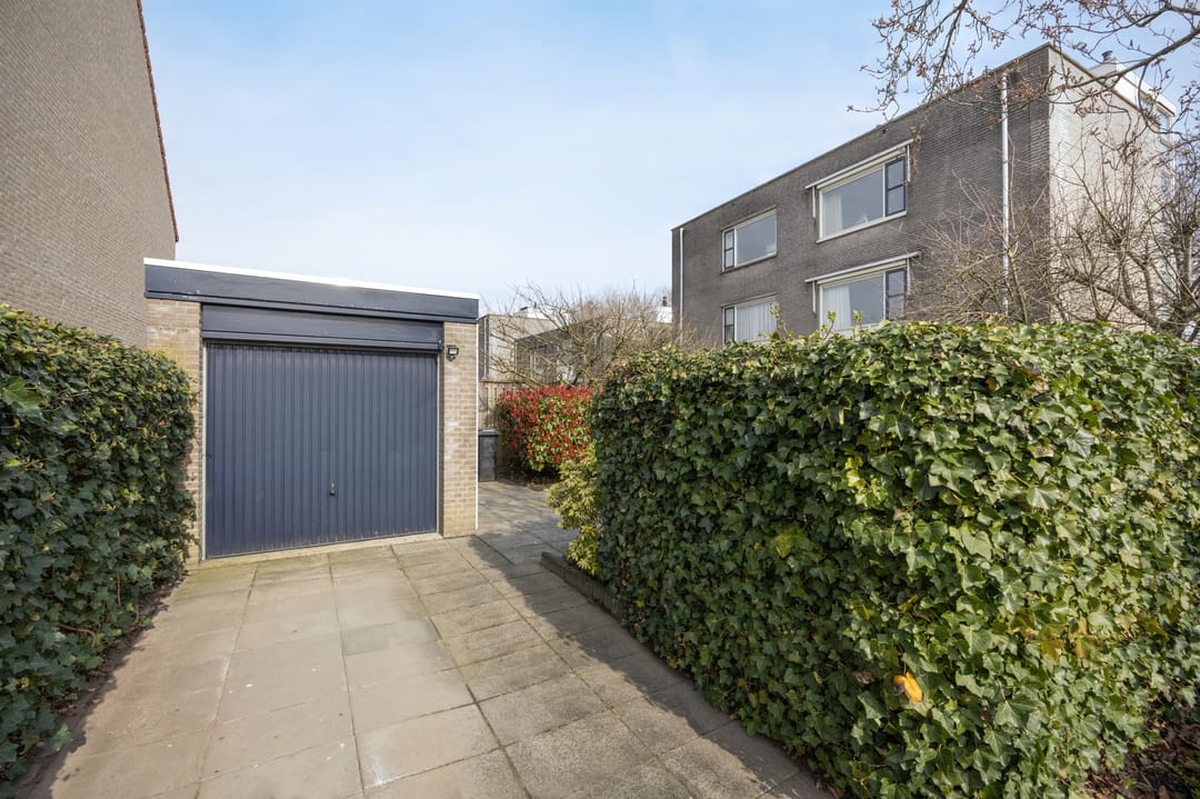 Foto 41 van Olympiade 44