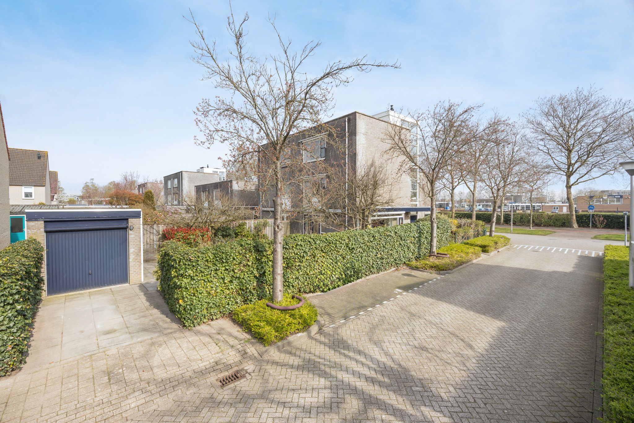 Foto 42 van Olympiade 44