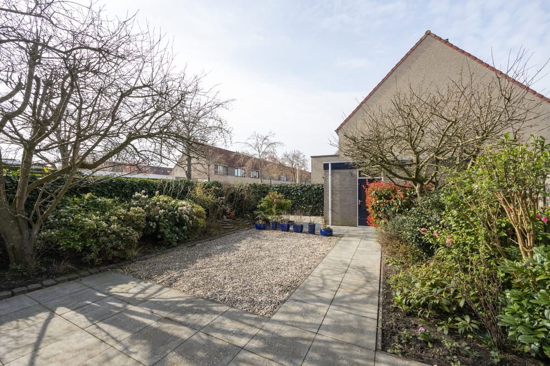 Foto 38 van Olympiade 44