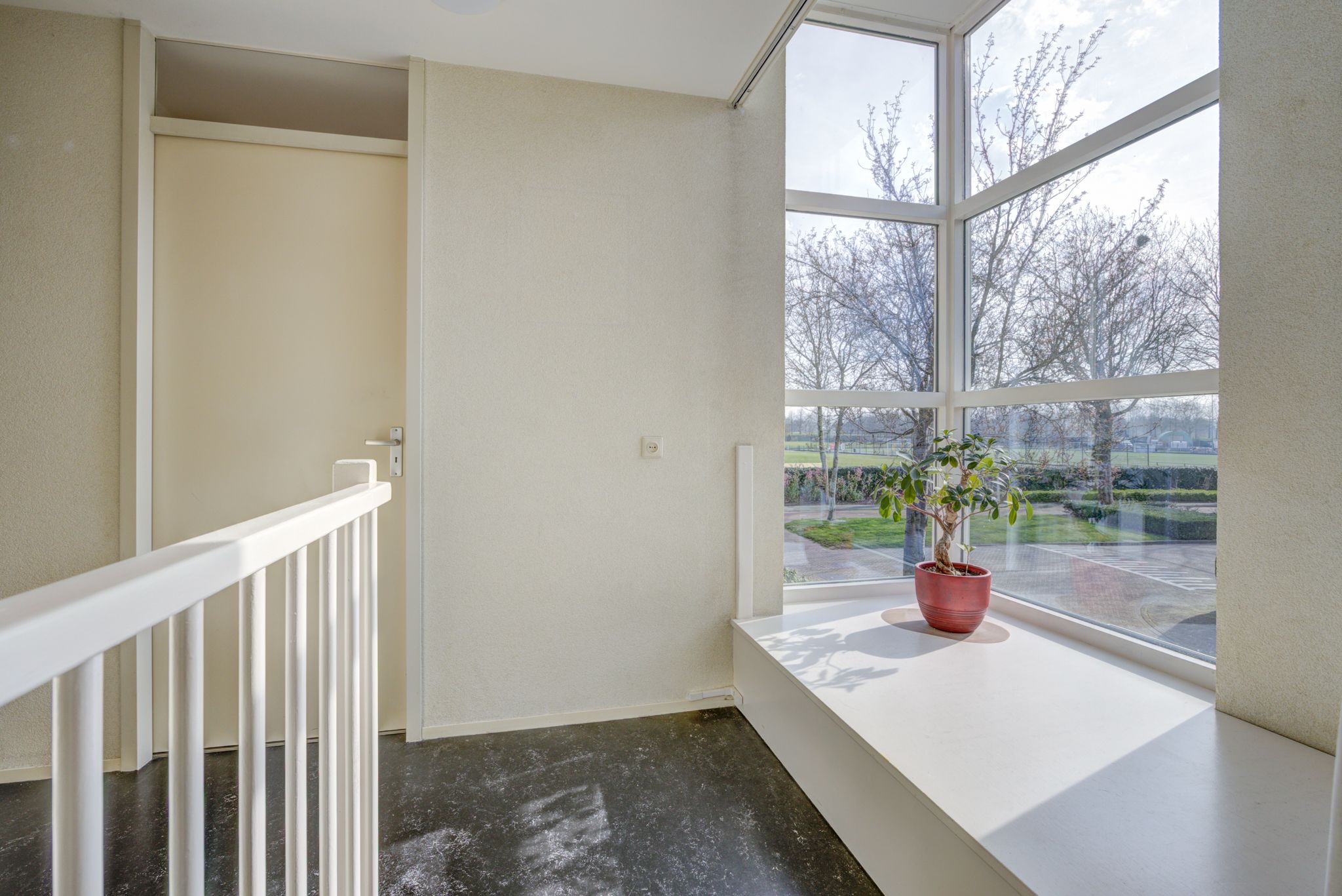 Foto 18 van Olympiade 44