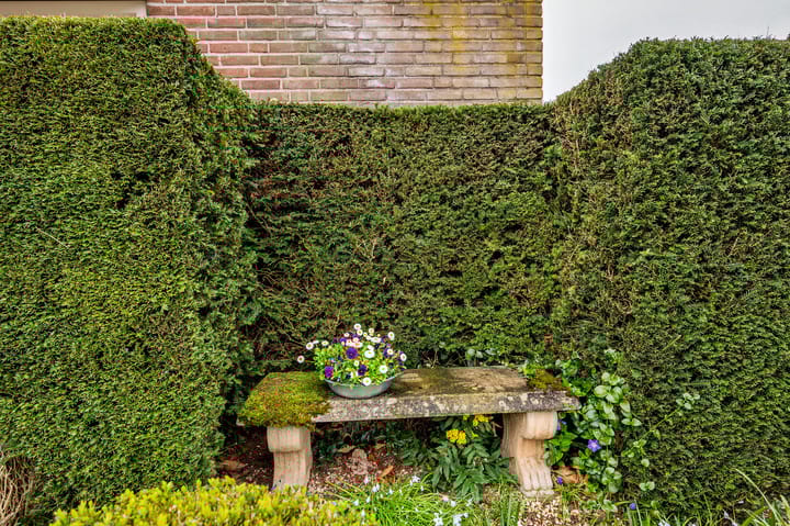 Photo 5 of Pastoor Baltesenstraat 1