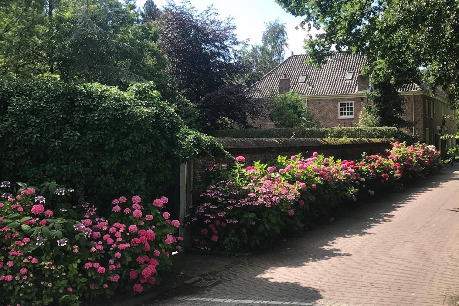 Foto 18 van Rhijnhofweg 2-B