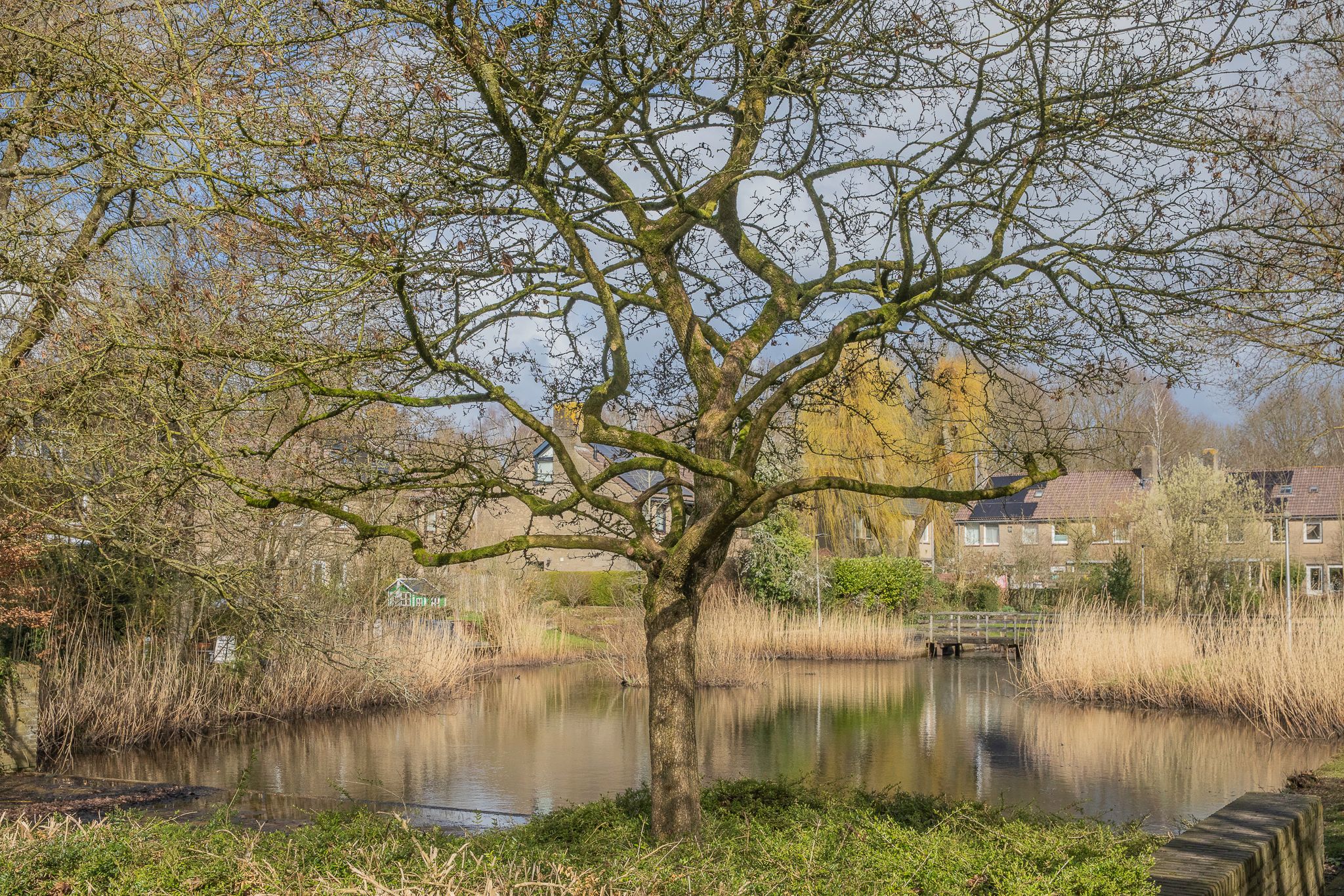 Foto 54 van Amelterhout 37