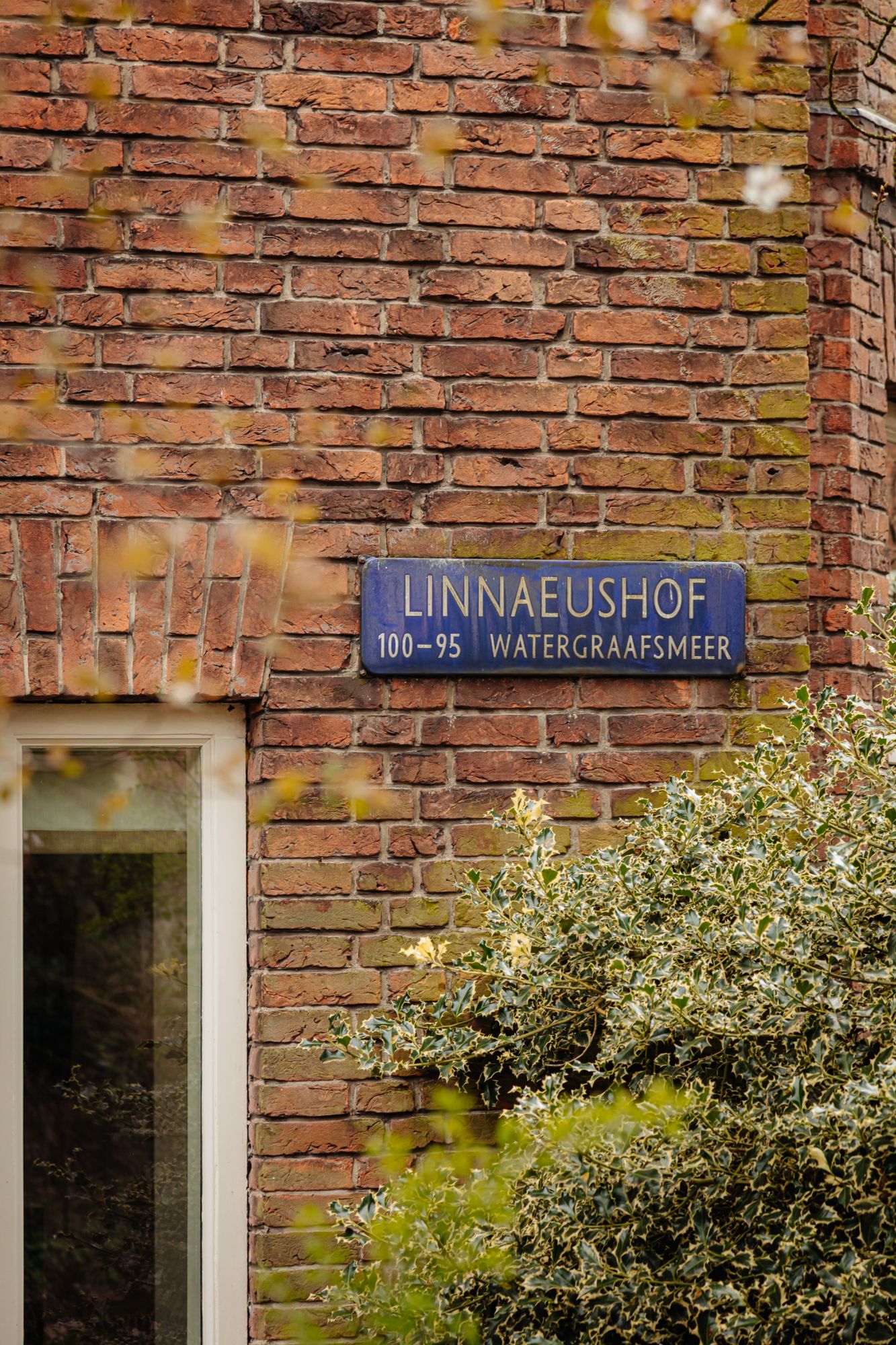 Character Corner House in Watergraafsmeer with Seven Bedrooms and Spacious Garden — 26