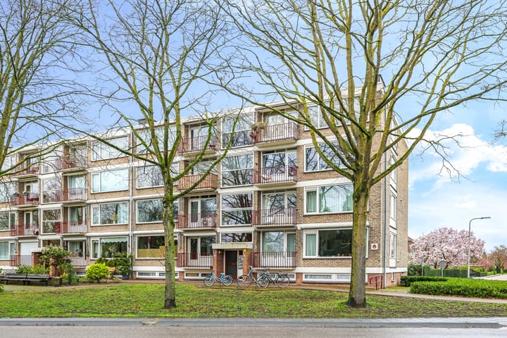 Stadswal 22-c main image