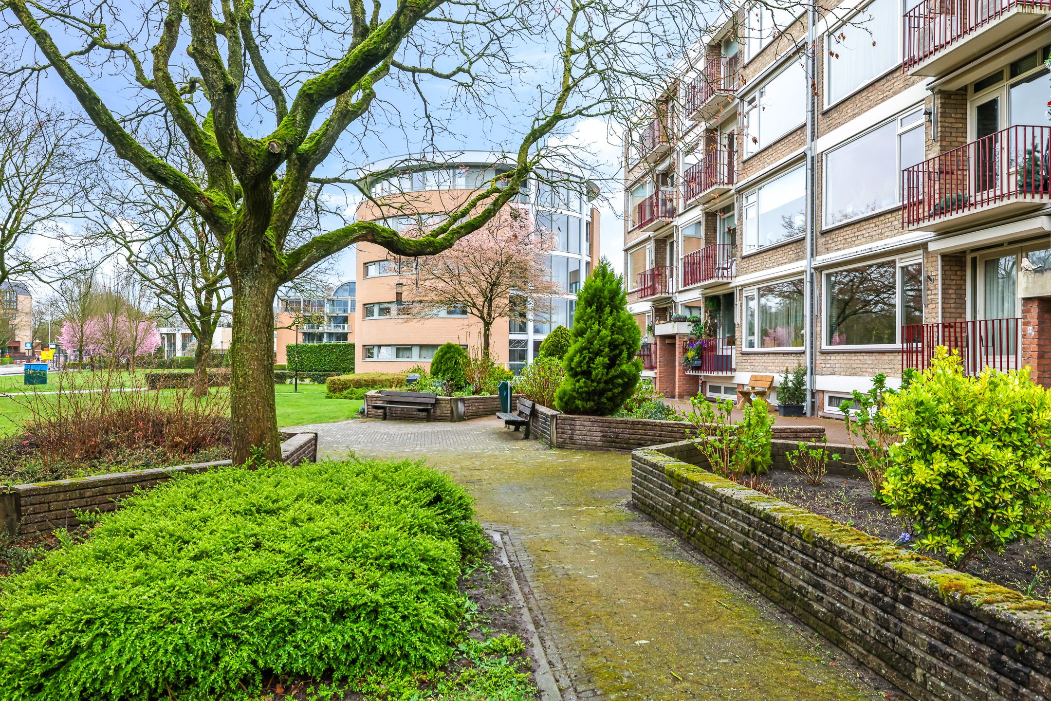 Foto 6 van Stadswal 22-C