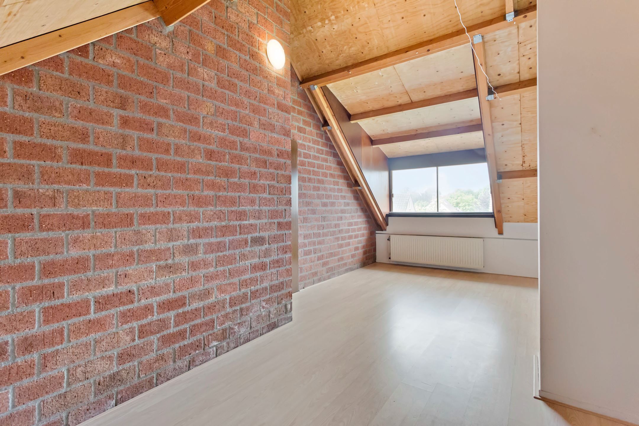 Foto 15 van Lange Maat 145