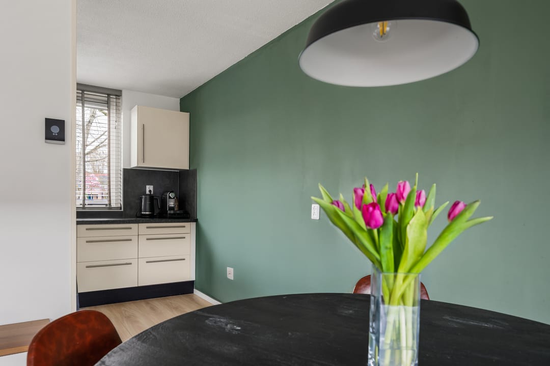 Foto 8 van Dwarscamp 20