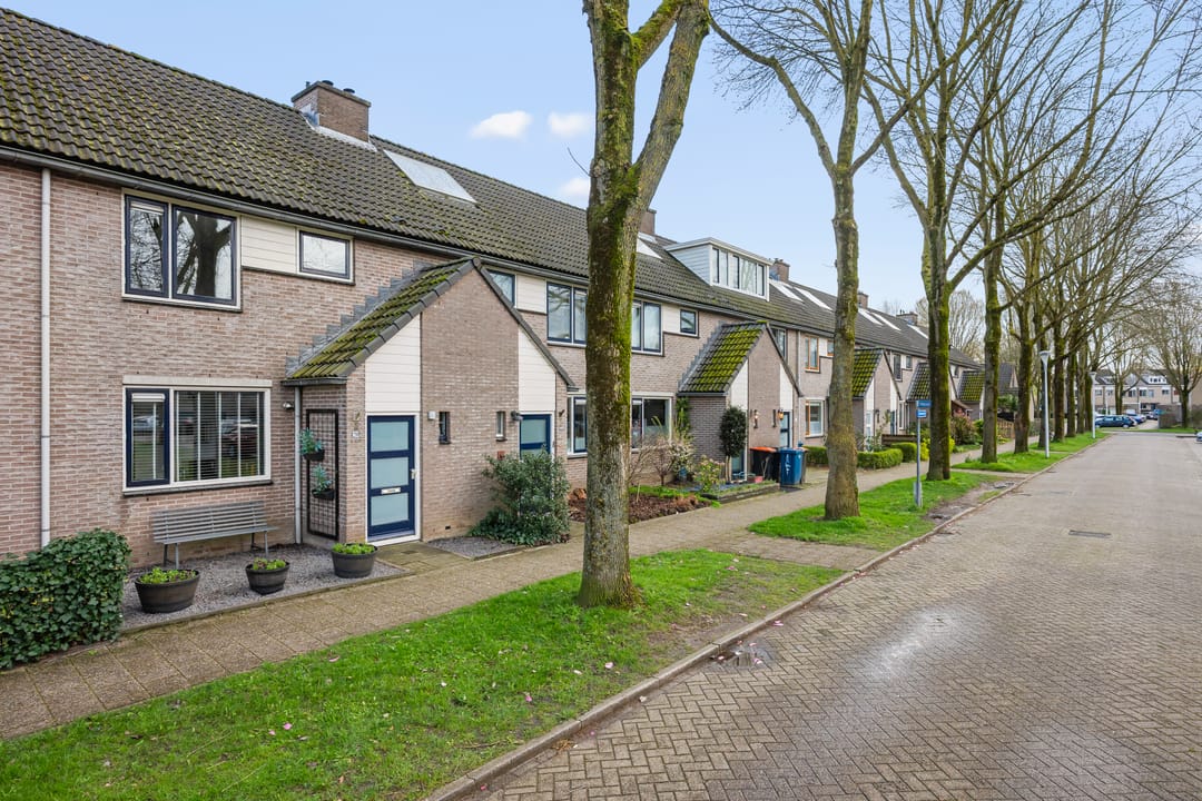 Foto 23 van Dwarscamp 20