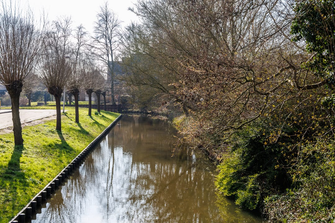 Foto 52 van Weegbree 23