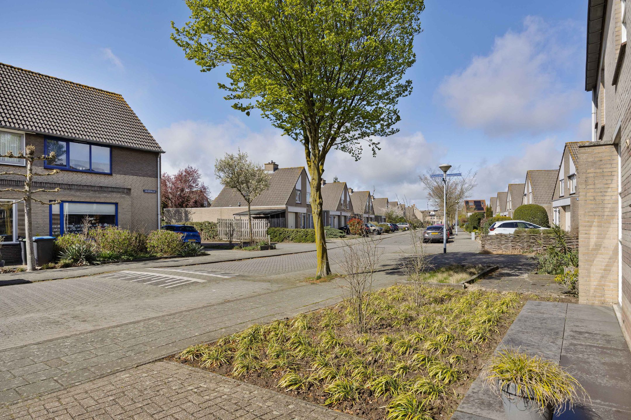 Foto 27 van Anjervallei 25