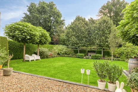 Schipper 3 tertiary image