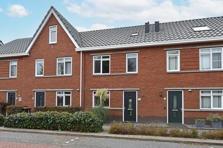 Foto 2 van Blaarkop 21