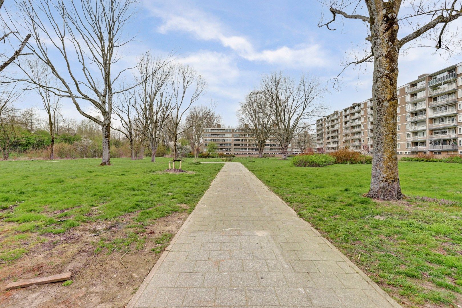 Photo 33 of Edmond Hellenraadstraat 125