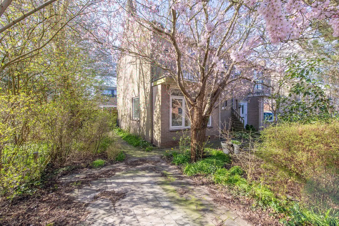 Foto 1 van Iepenlaan 23