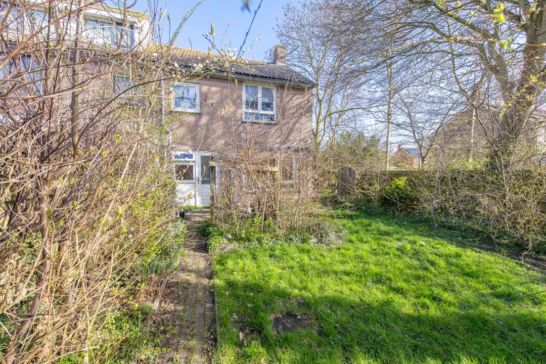 Foto 32 van Iepenlaan 23