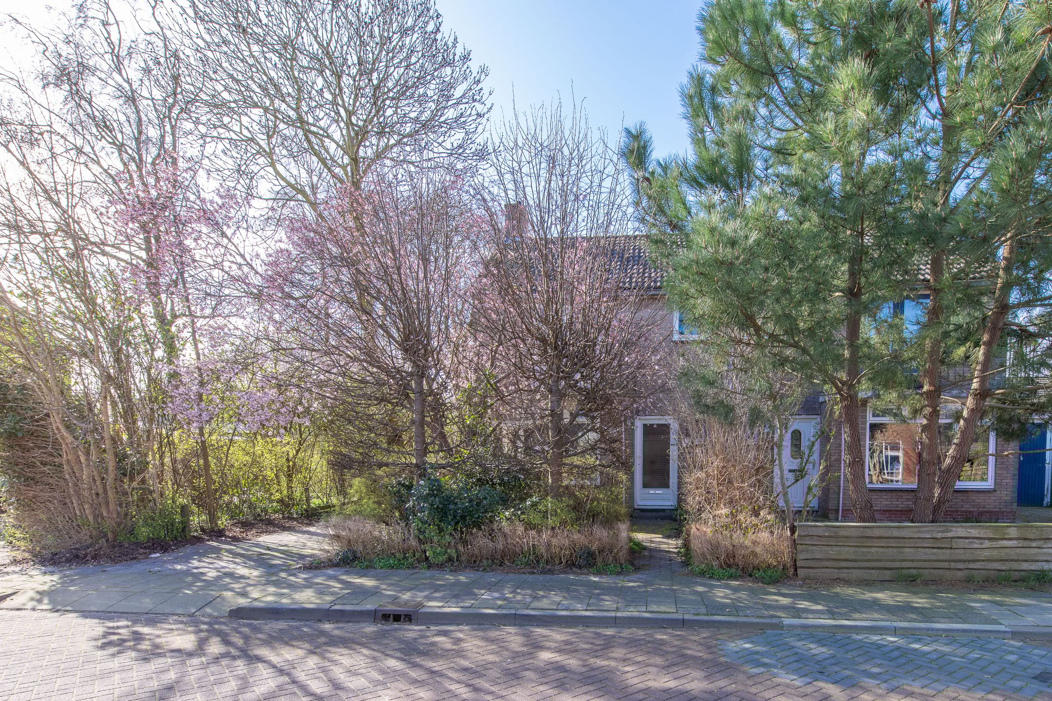 Foto 36 van Iepenlaan 23