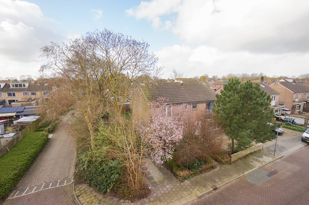 Foto 37 van Iepenlaan 23