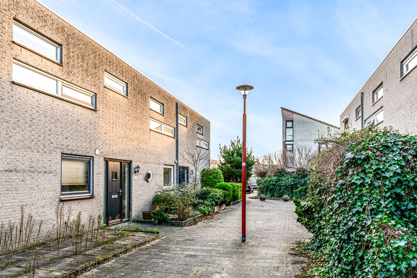 Photo 25 of Willem Walravenhove 12