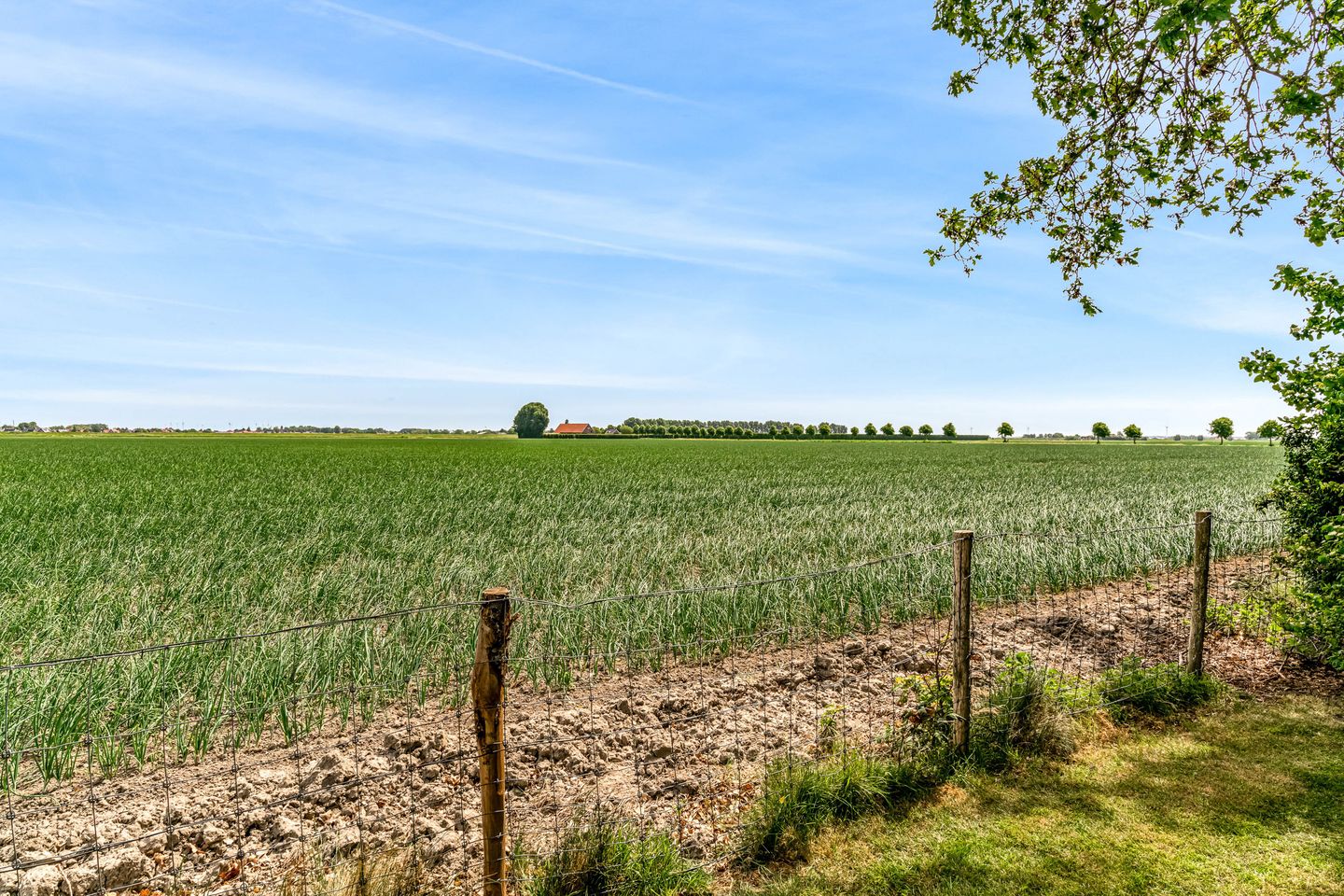 Foto 110 van Oude Nieuwlandseweg 3