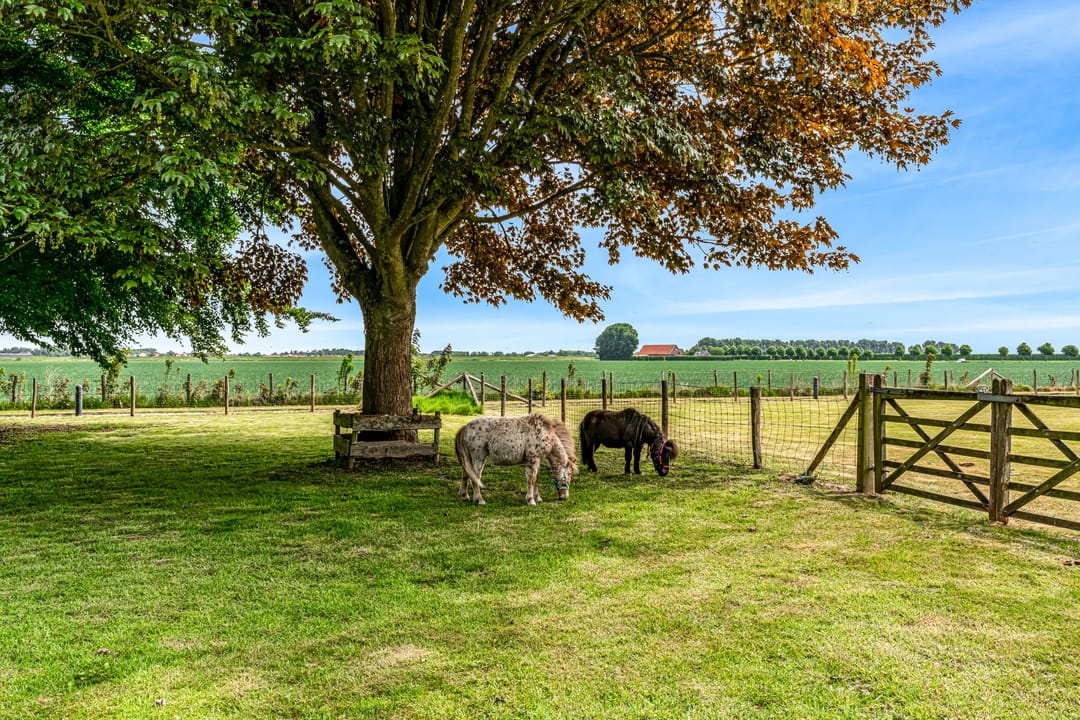 Foto 112 van Oude Nieuwlandseweg 3