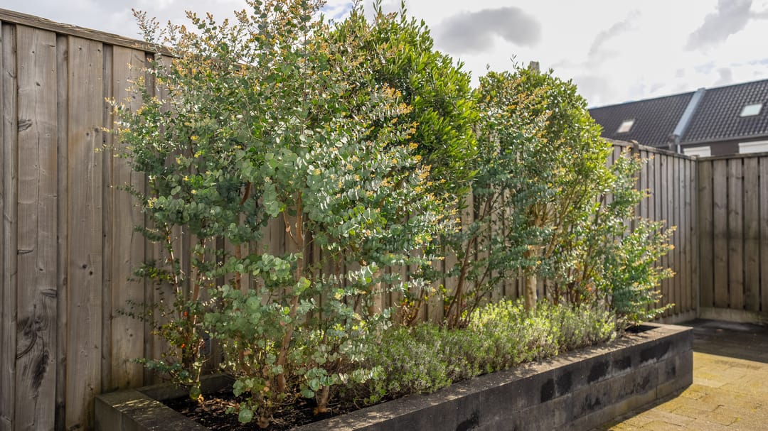 Photo 28 of Noorderes 13