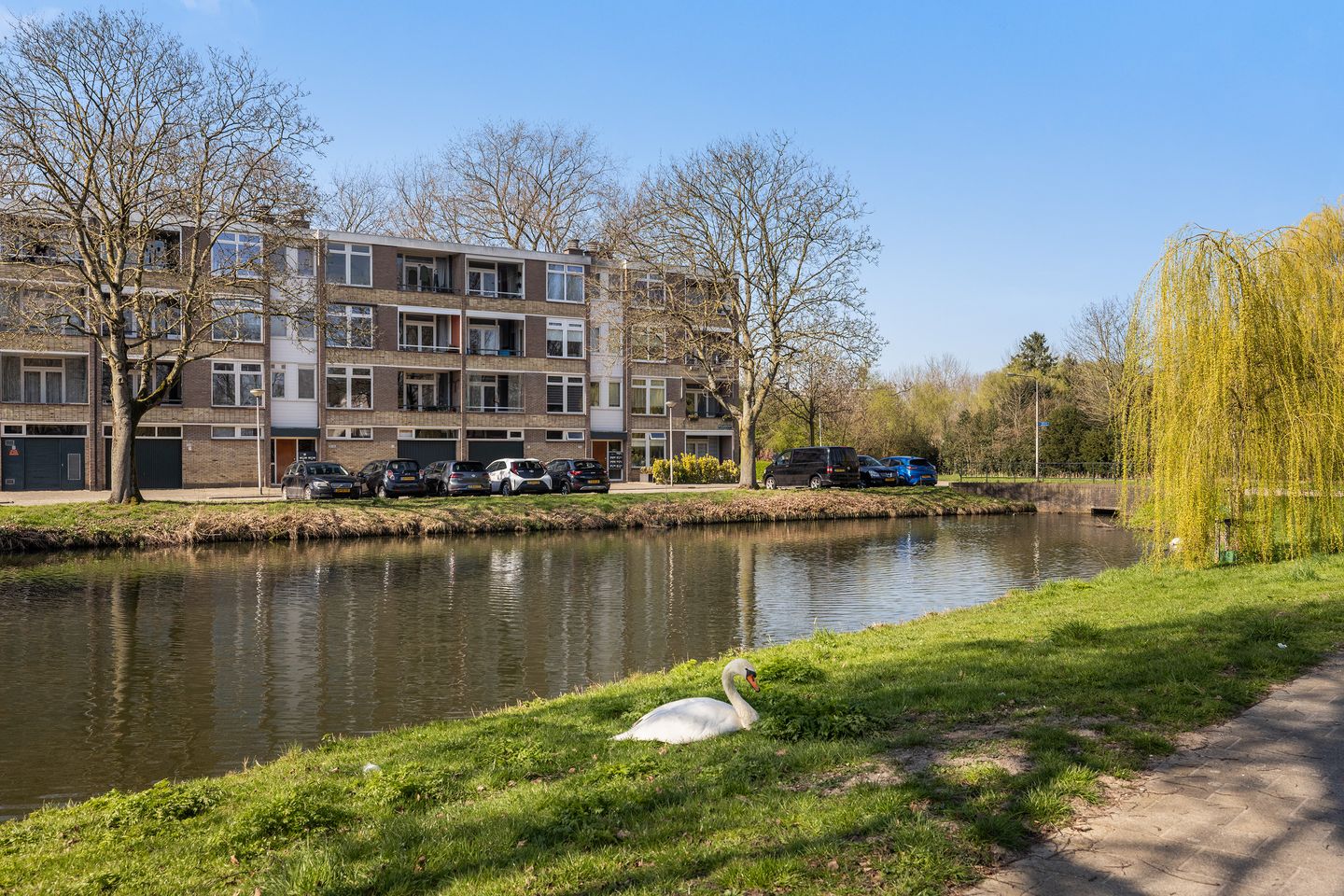 Photo 29 of Witte de Withstraat 24