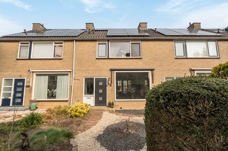 Akkerwinde thumbnail