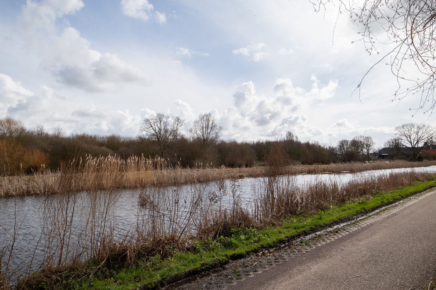 Photo 5 of Voorweg 169-A