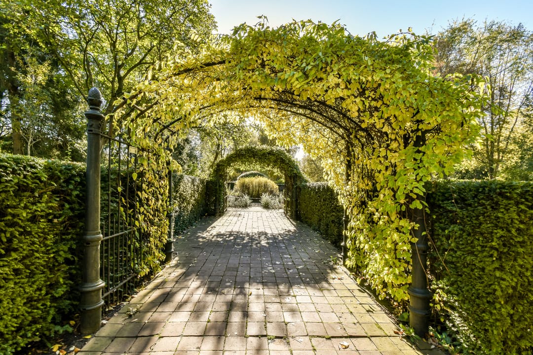 Foto 16 van Volkerakstraat 42-1