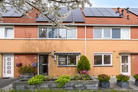 Adrienne Solserstraat thumbnail