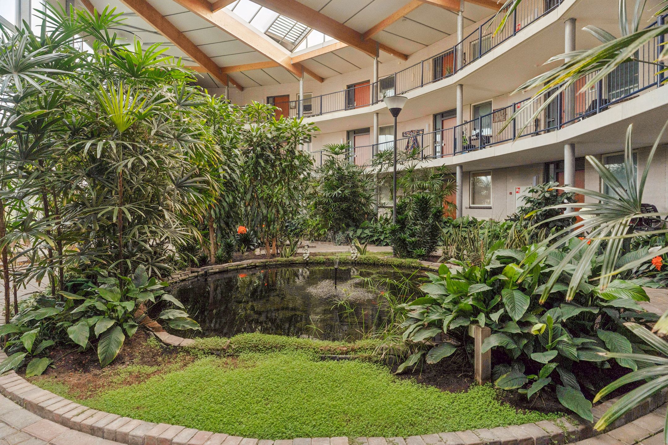 Foto 24 van Goudreinet 75