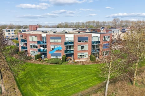 Goudreinet thumbnail