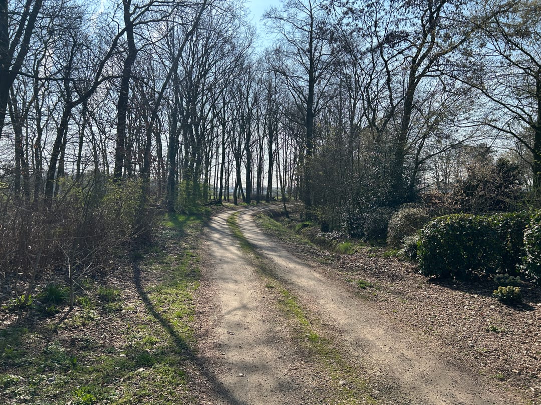 Foto 11 van Slobeendweg Kavel 1