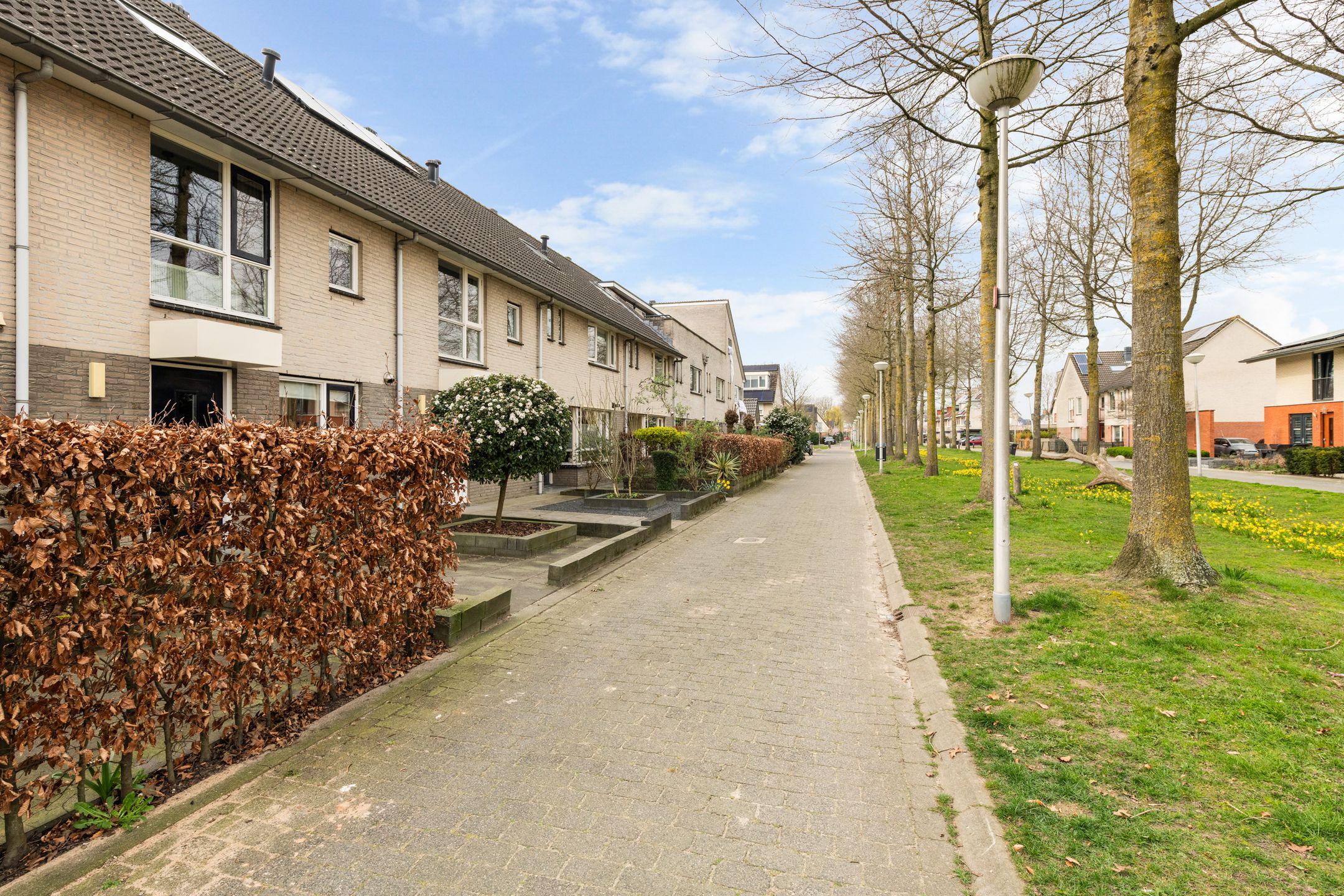 Photo 6 of De Kolk 24