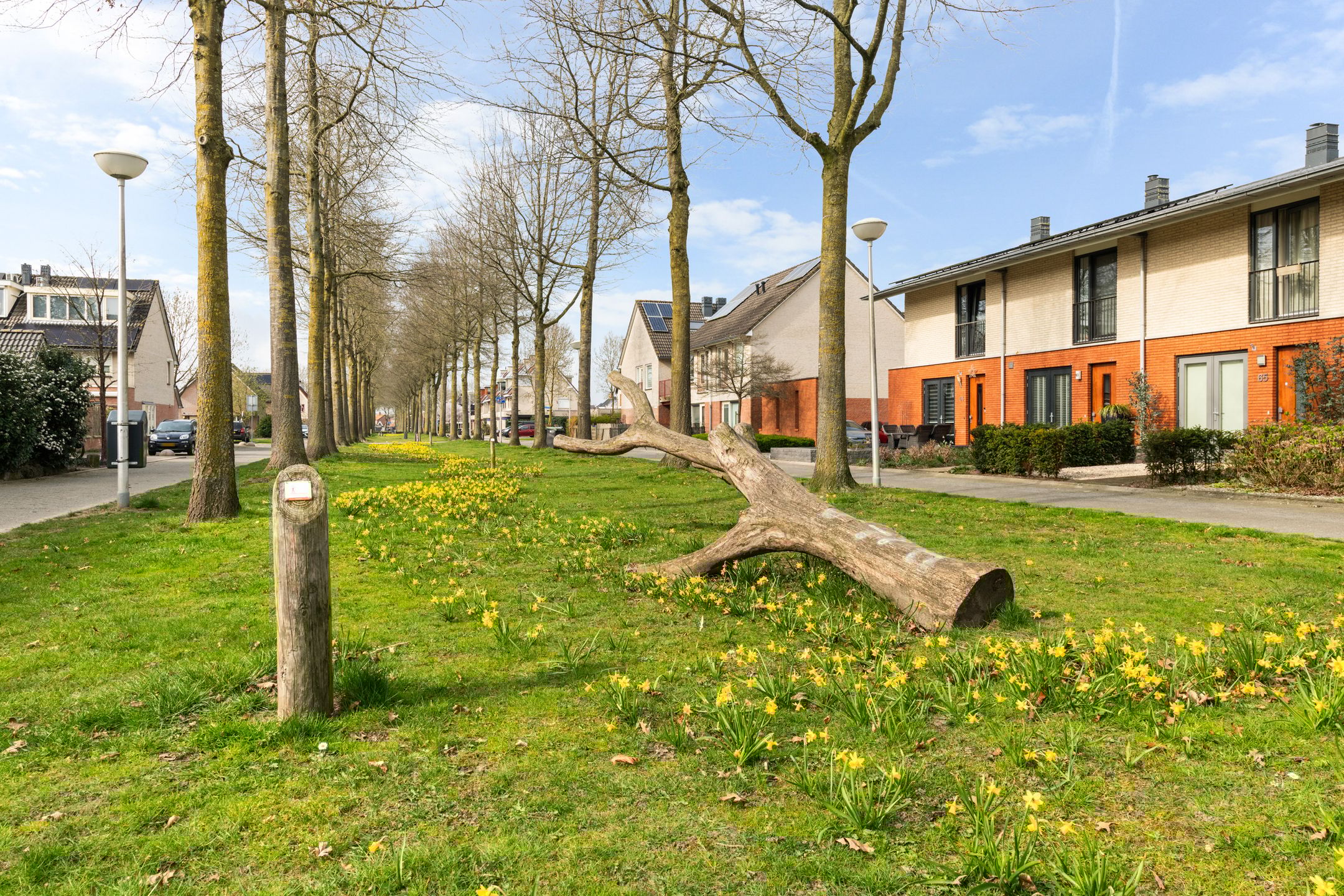 Photo 45 of De Kolk 24