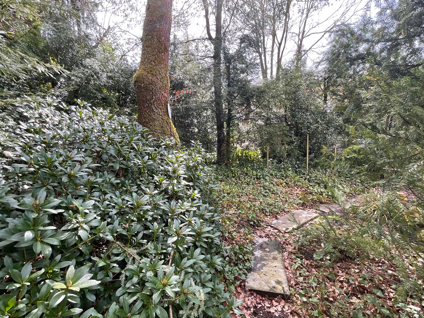 Photo 20 of Tonnenberg 53-K49