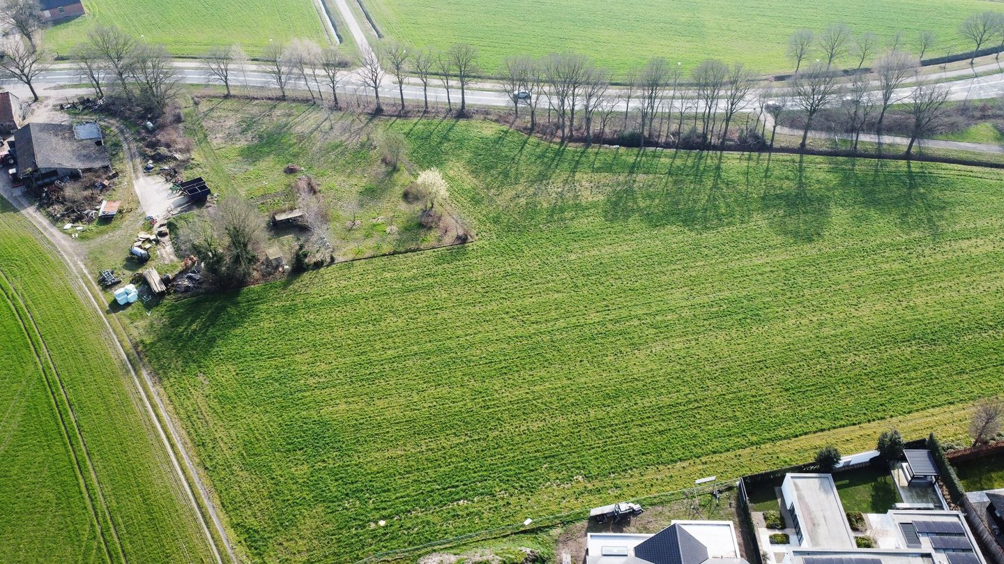 Bekijk foto 2 van Haanse Hoef Dongen
