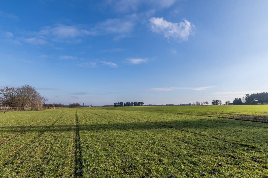 Photo 41 of Dorpstraat 45