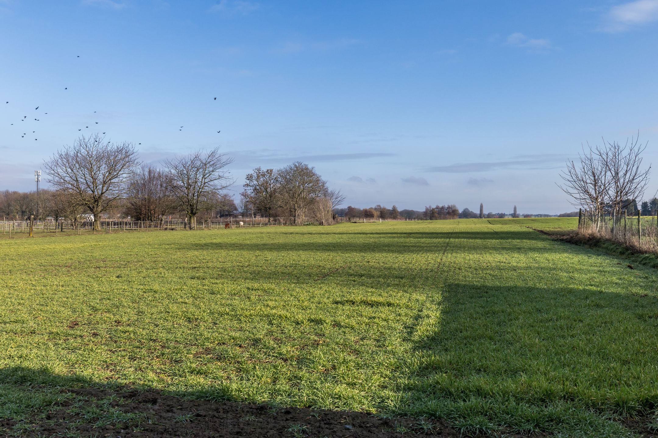 Photo 39 of Dorpstraat 45