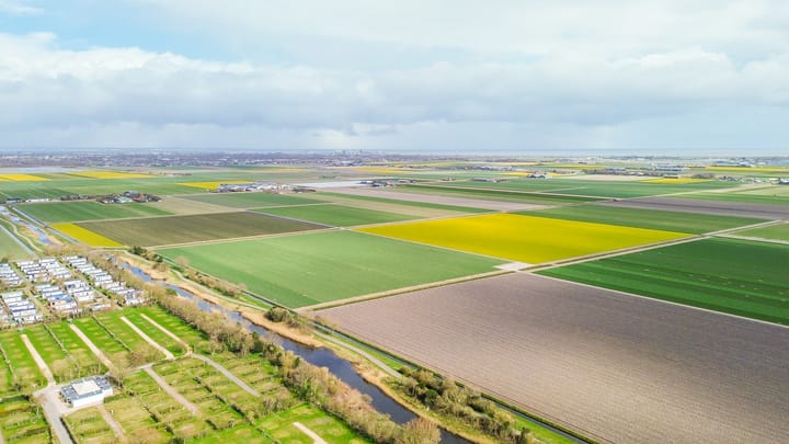 Foto 4 van Watermunt 19