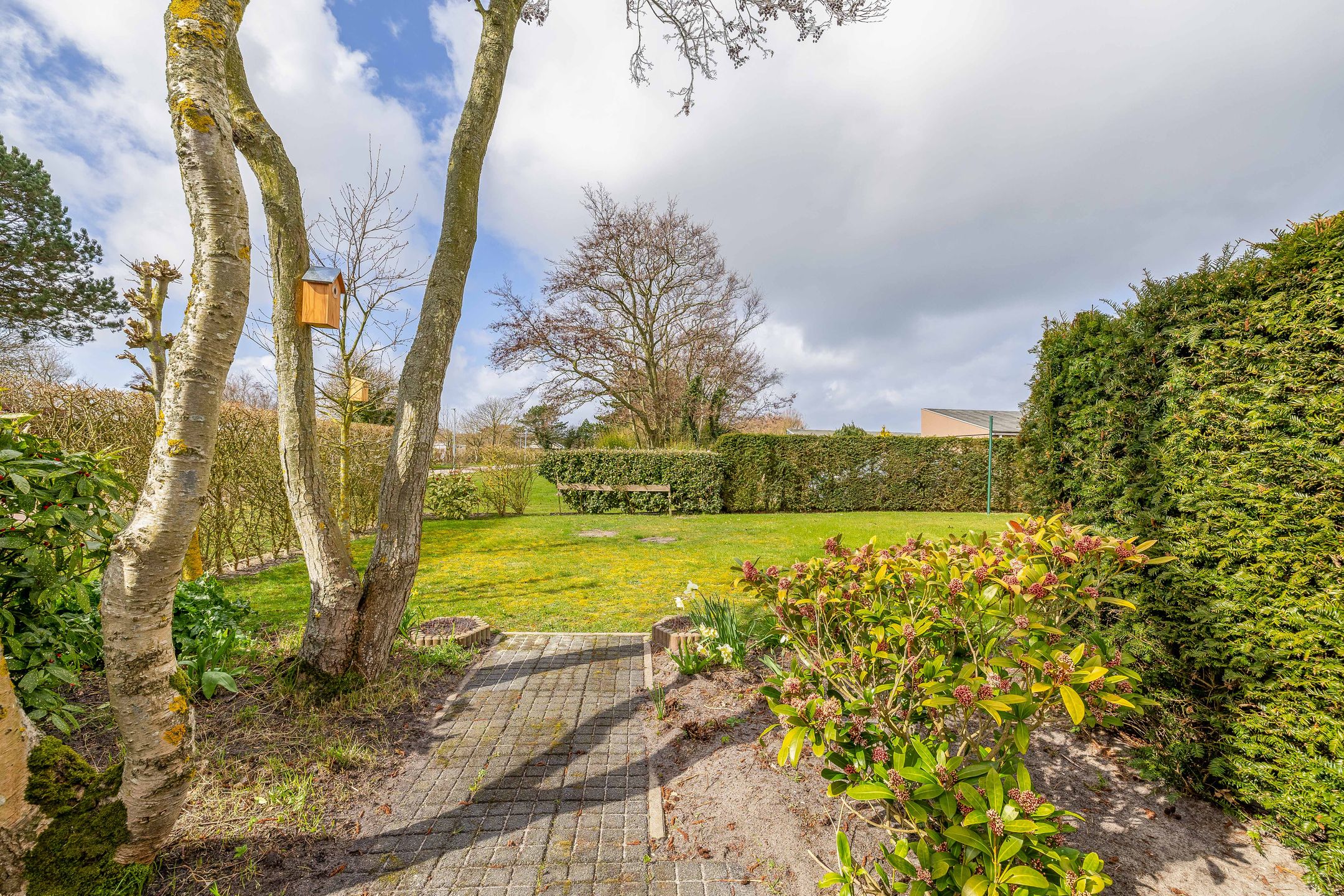 Foto 18 van Watermunt 19